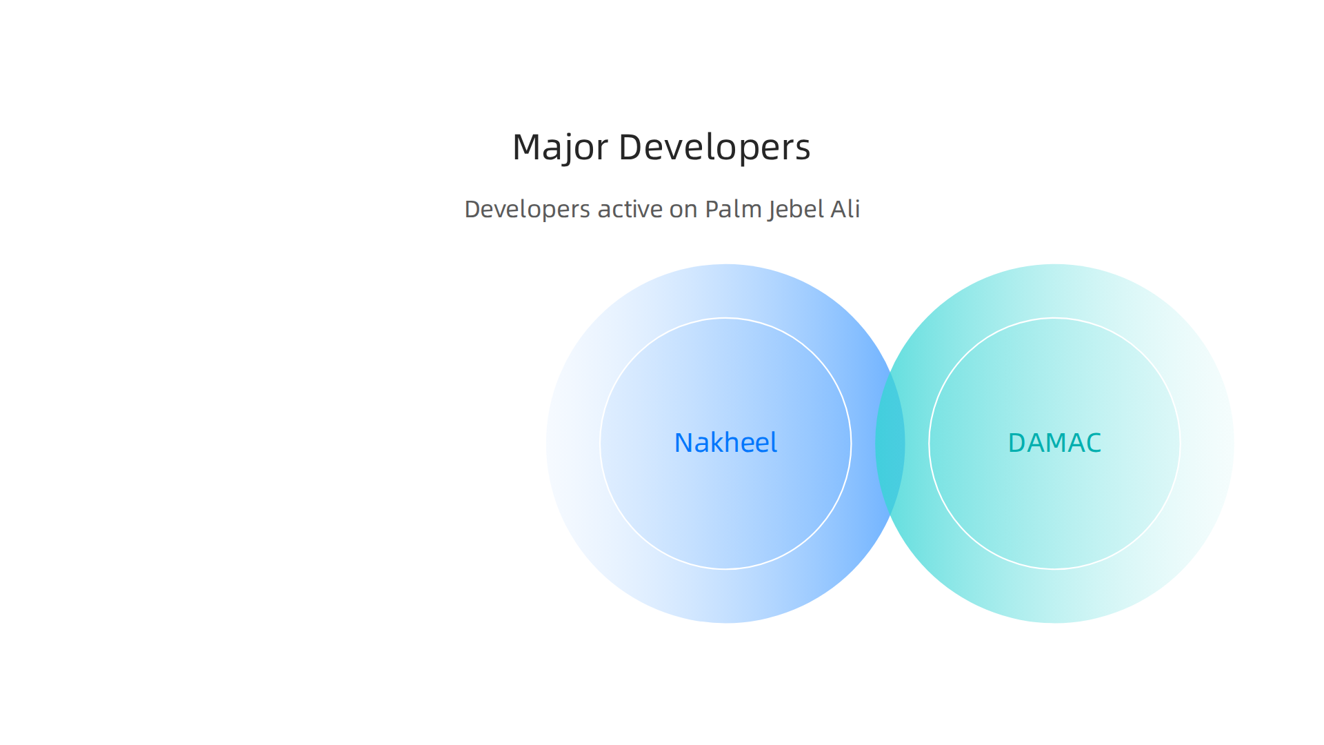 A comparison table infographic highlighting key developers on Palm Jebel Ali, their distinct styles, and ideal buyer types.