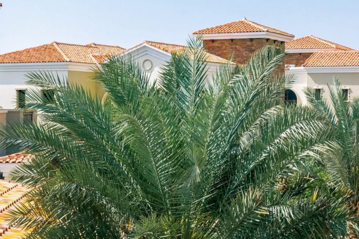 Dubai Hills Property For Sale Your Guide to Luxury Investment